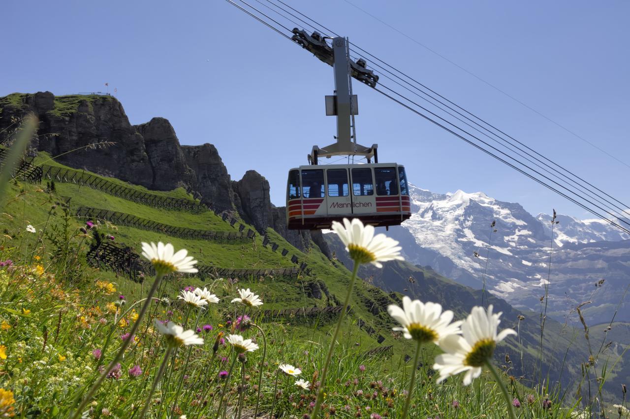 Pasta&More Bed&Breakfast Bed & Breakfast Wengen Exterior photo